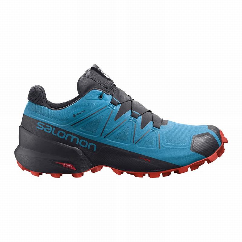 Buty Do Biegania W Terenie Męskie Salomon SPEEDCROSS 5 GORE-TEX - Niebieskie / Czarne - Polska (680-